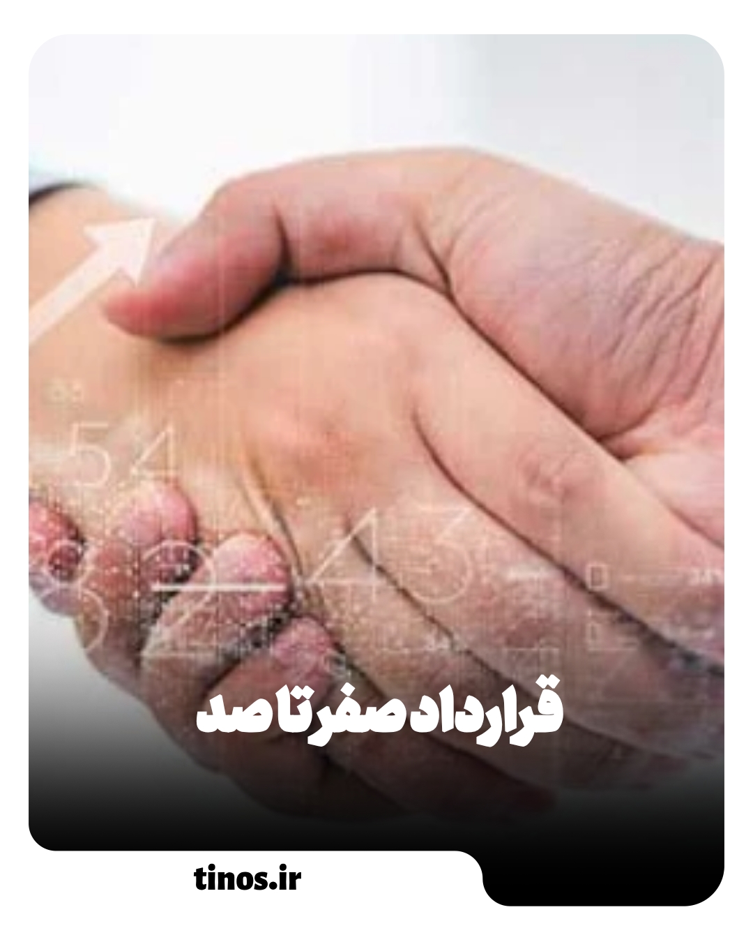 بازاریابی در شیراز